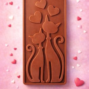 cioccolato vegano bio gatti innamorati